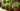 Organic Container Gardening Made Simpl